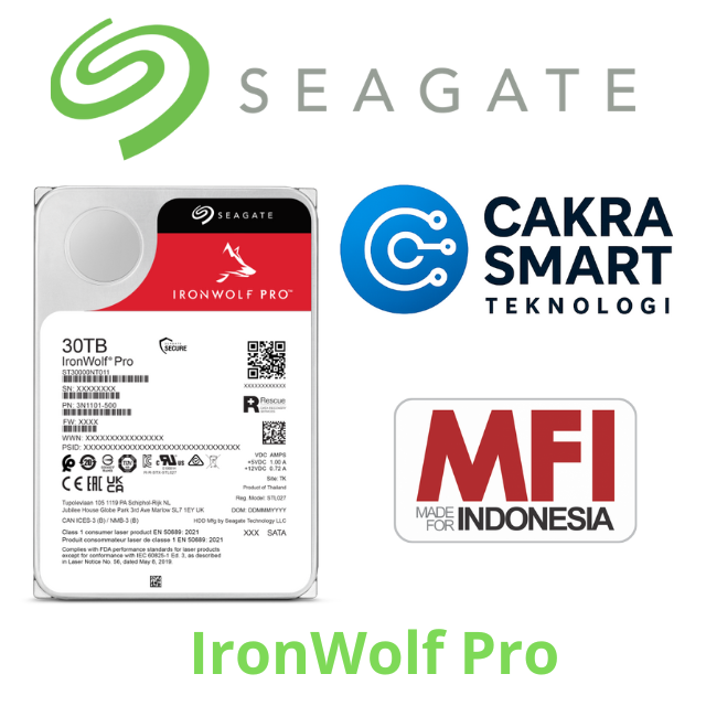 Seagate Ironwolf Pro 4 TB