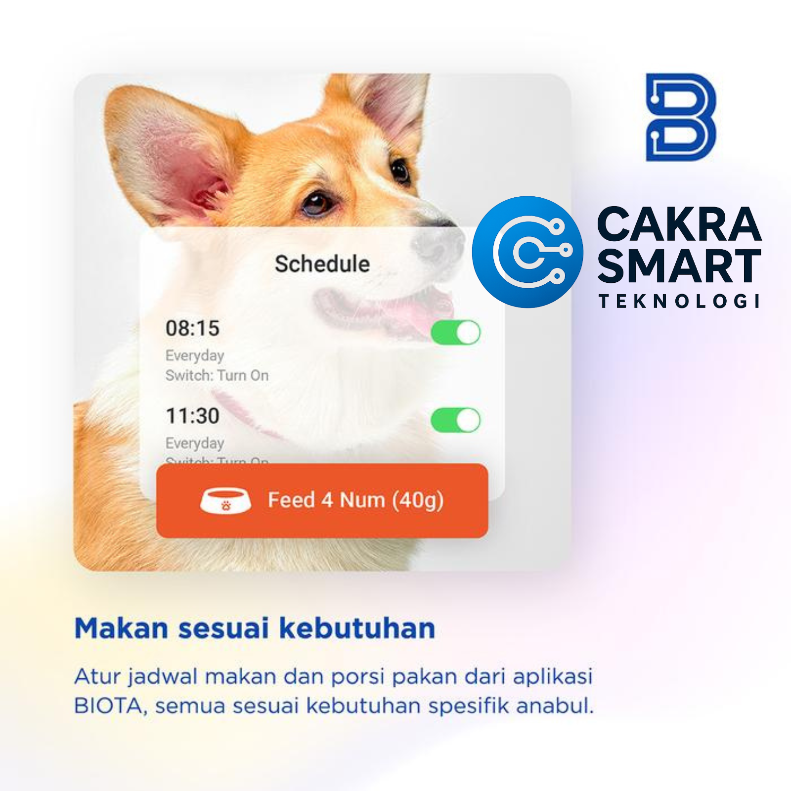 BIOTA Smart Pet Feeder - Gambar 5
