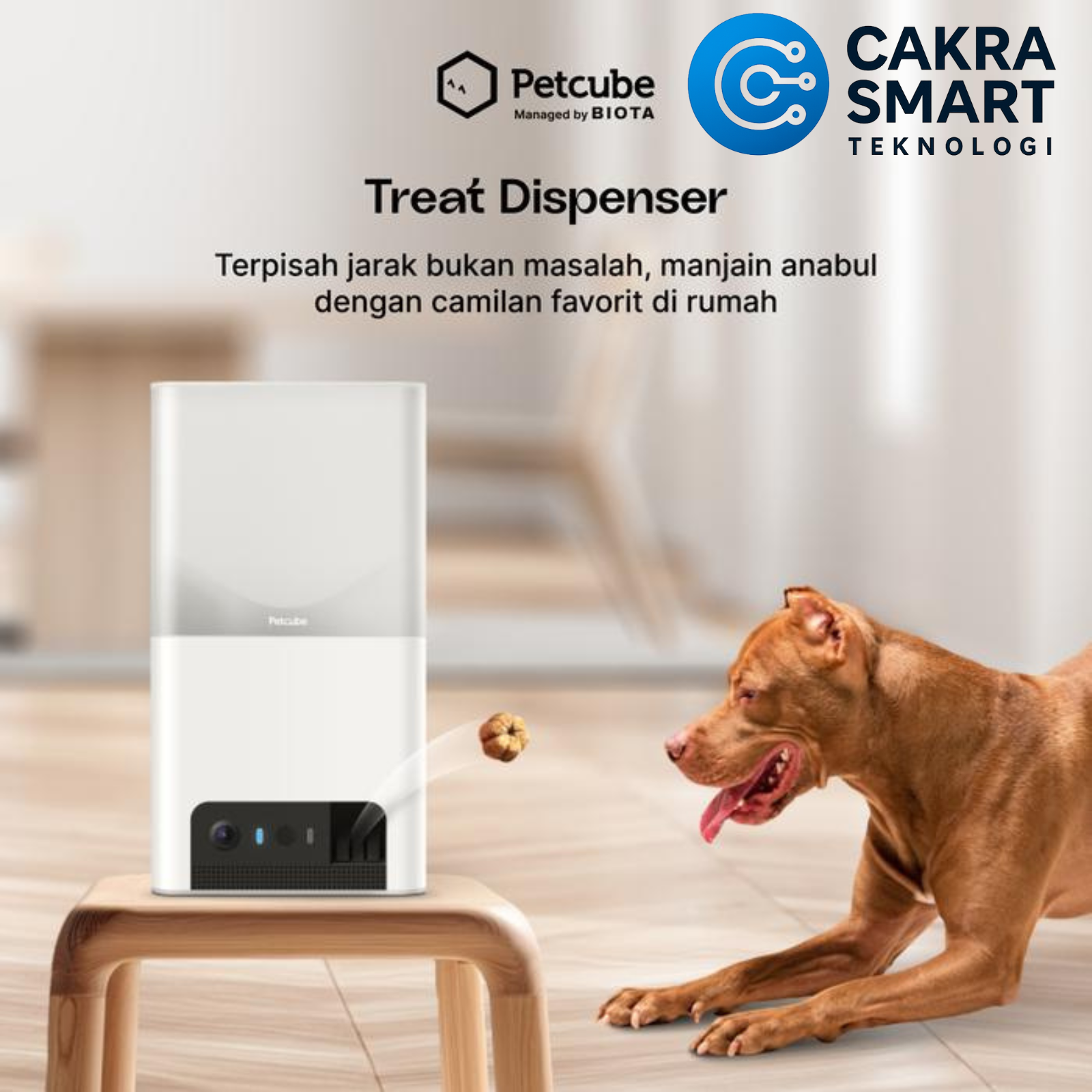 BIOTA X PETCUBE Bites 2 Lite - Smart Pet Camera With Snack Dispenser - Gambar 2