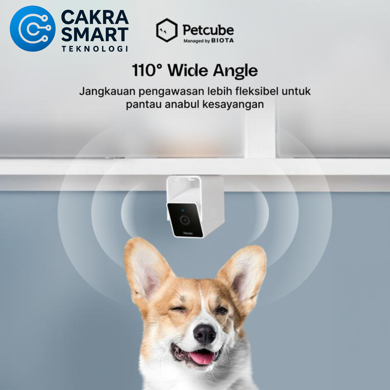 BIOTA X PETCUBE Cam - Smart Pet Monitoring Camera - Gambar 2