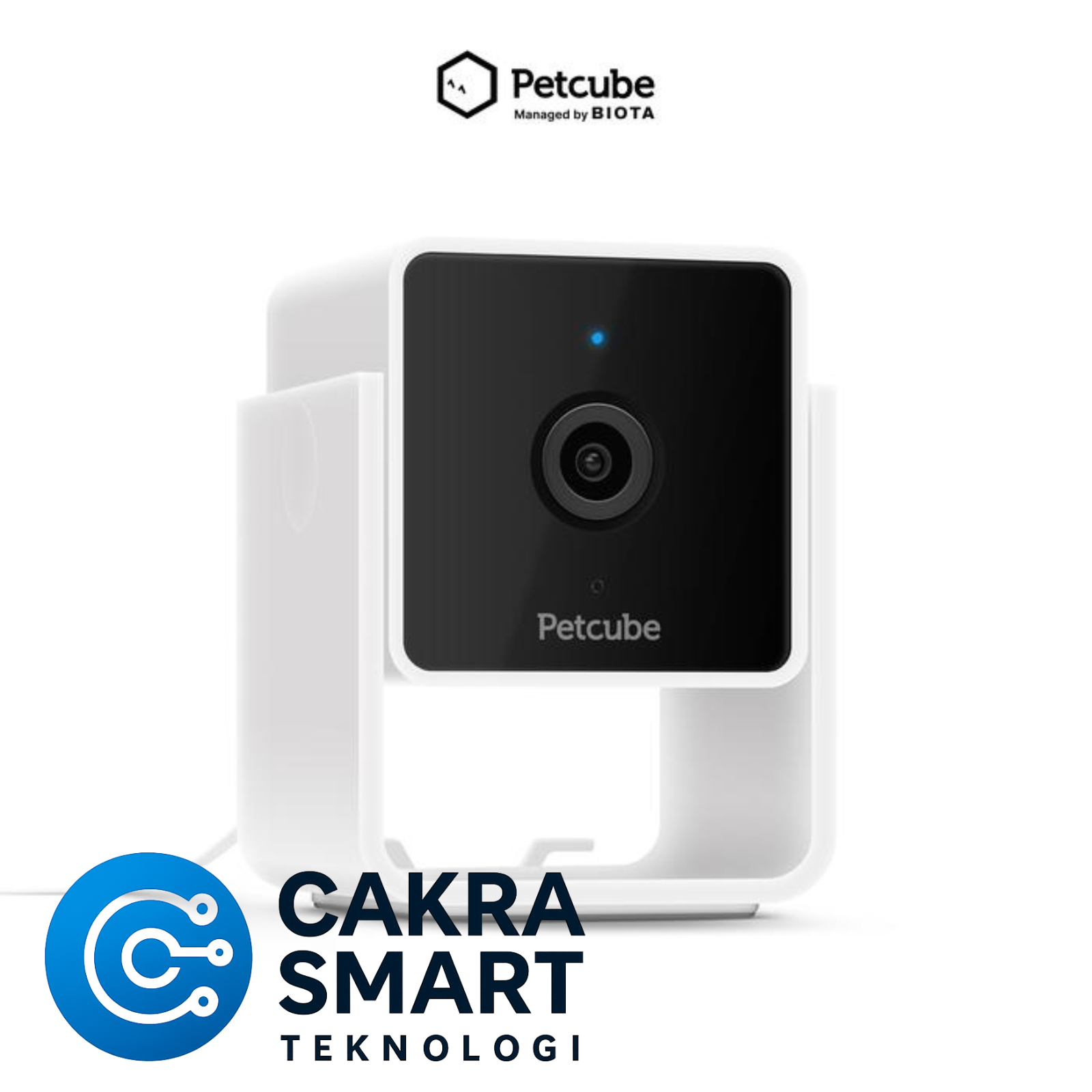 BIOTA X PETCUBE Cam - Smart Pet Monitoring Camera - Gambar 3