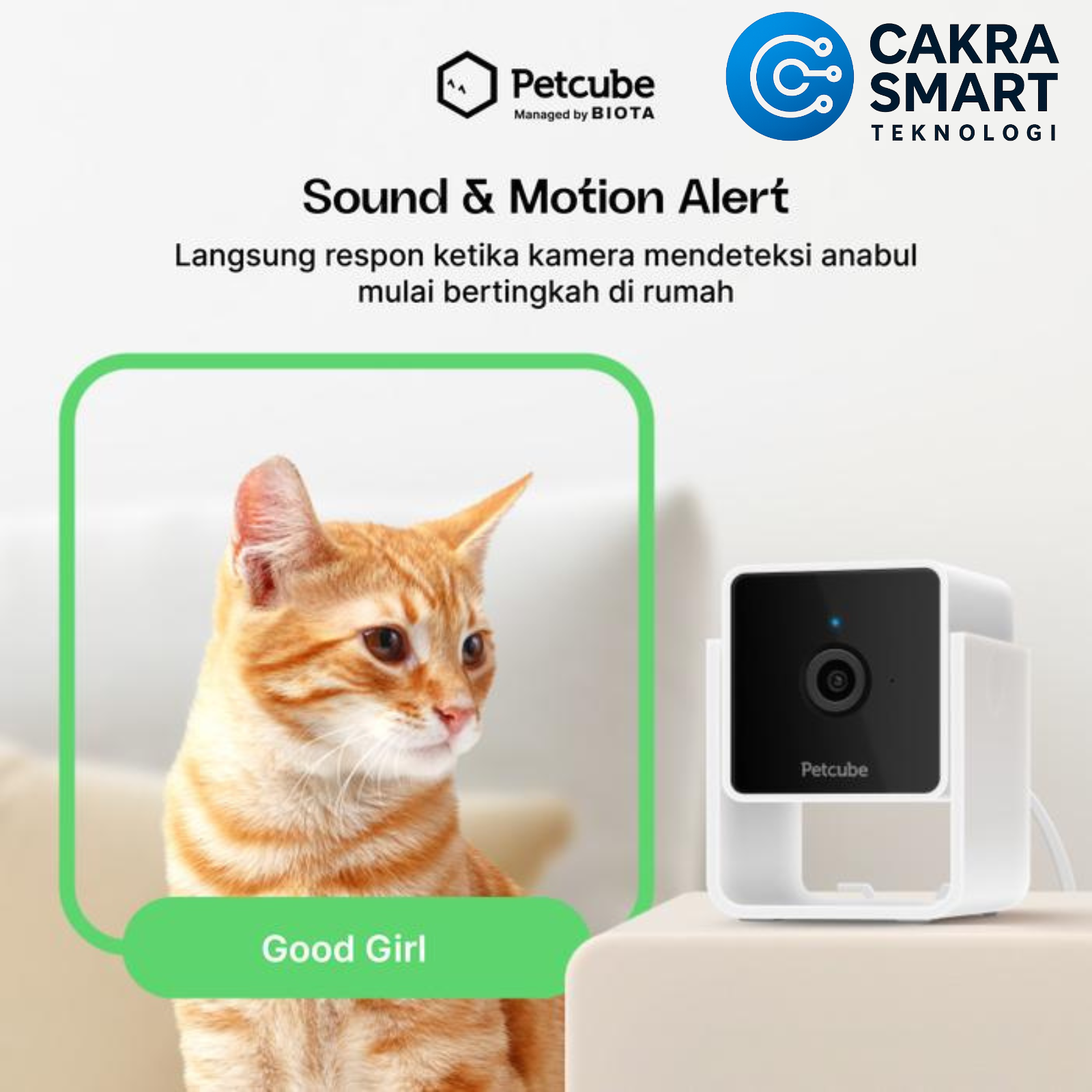 BIOTA X PETCUBE Cam - Smart Pet Monitoring Camera - Gambar 5
