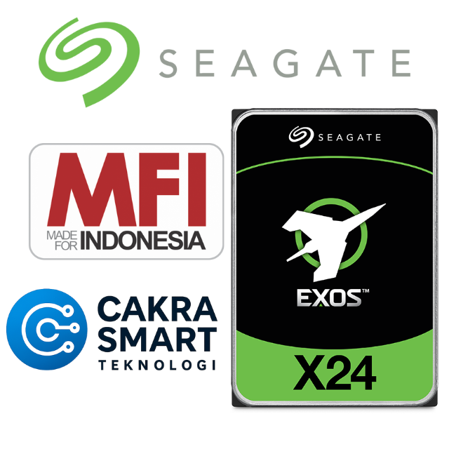Seagate Exos X24 12 TB